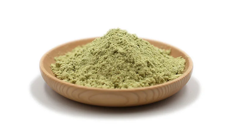 Organic pumpkin seed protein 1 organic pumpkin protein