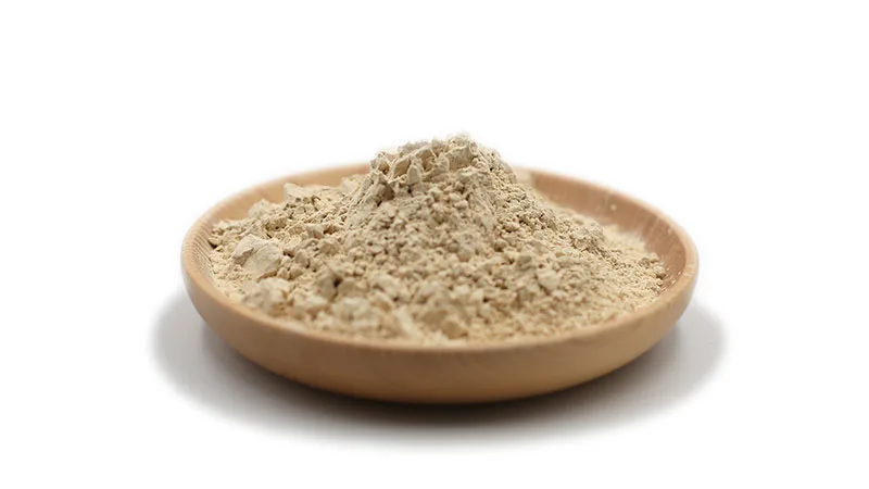 Organic rice protein isolate powder 2 organic rice protein