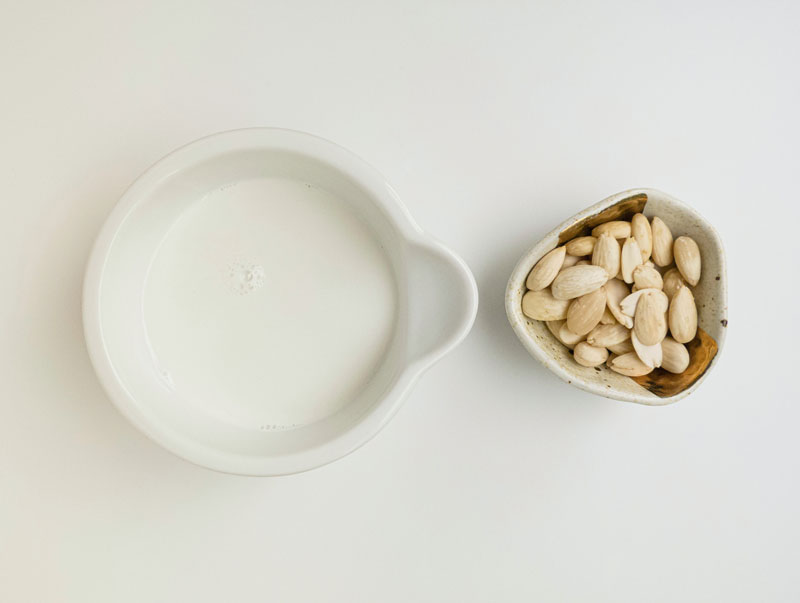 Bio-Pflanzenprotein