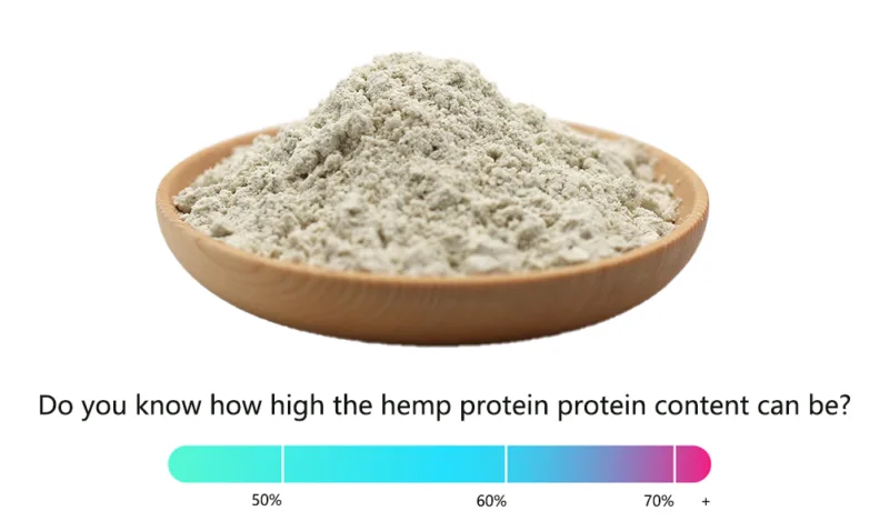 Do you know how high the hemp protein protein content can be? 4 Do you know how high the hemp protein protein content can be