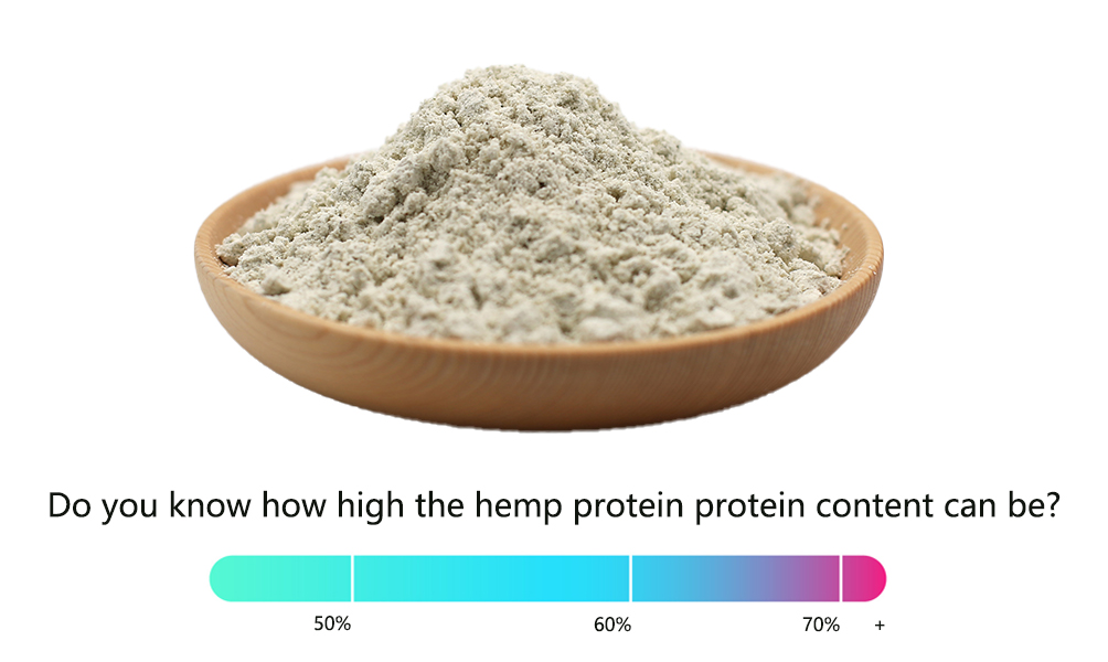 Do you know how high the hemp protein protein content can be