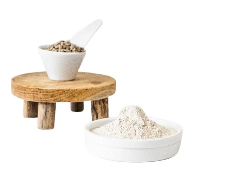 The Benefits of Organic Sunflower Protein and How to Use It 1 1 jpg