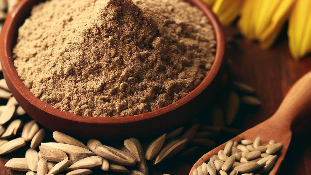 The Ultimate Guide to Organic Sunflower Seed Protein: Benefits and Recipes