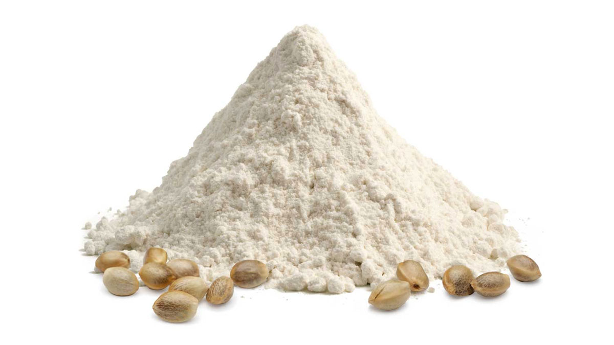 organic hemp protein